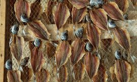 Pêcher en kayak gonflable : la nouvelle tendance pour les pêcheurs passionnés!